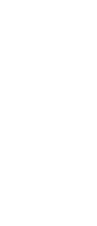 left shape 2